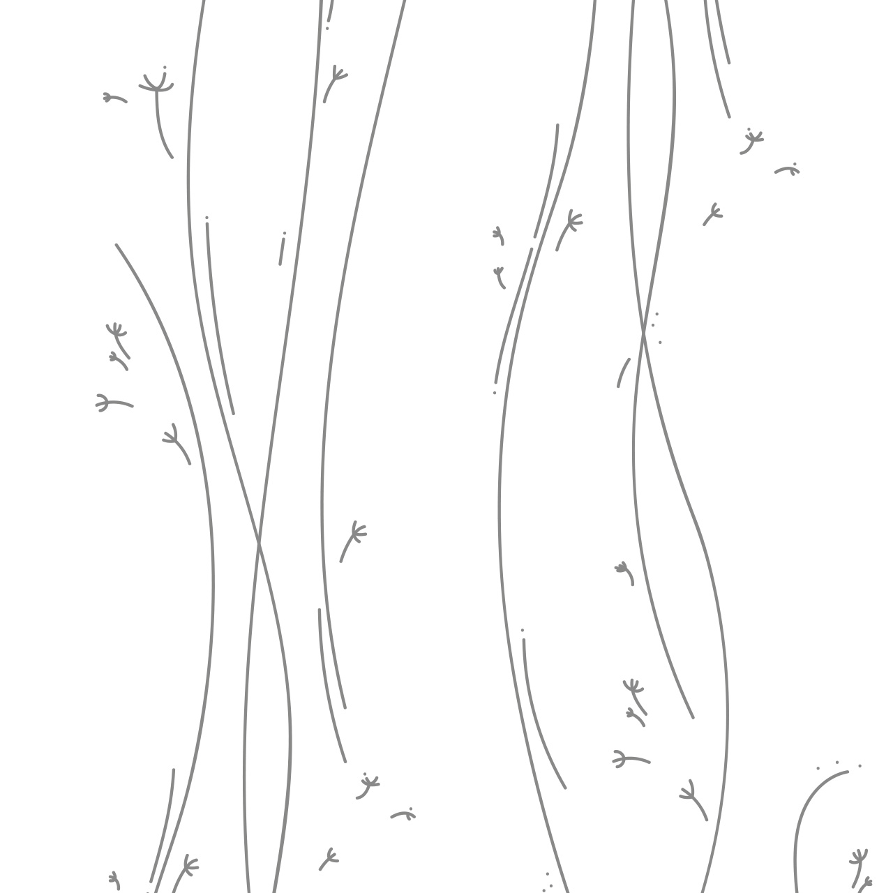 diseño de patrón empaque mimuselina desvio creativo